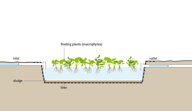 Functional schematic of a floating plant pond. Source: TILLEY et al. 2014